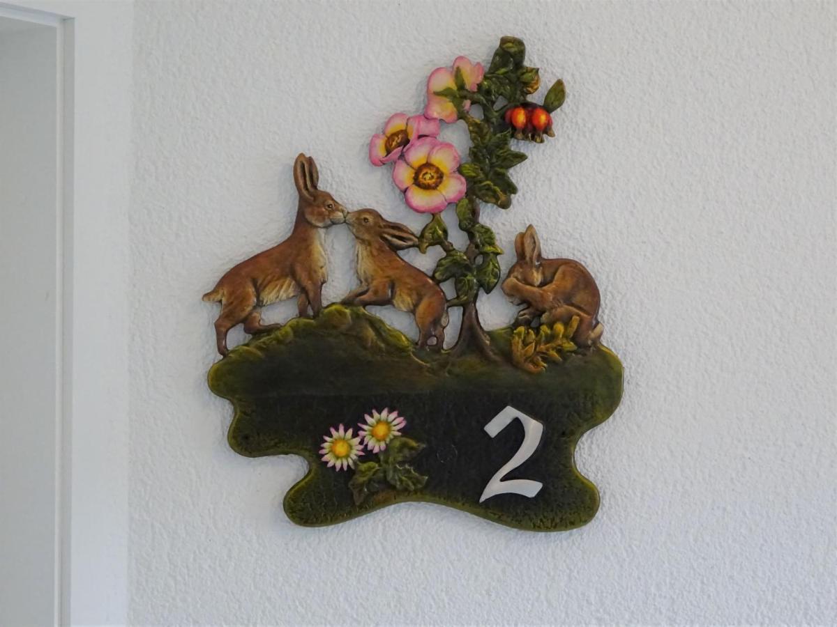 Waschbär Country