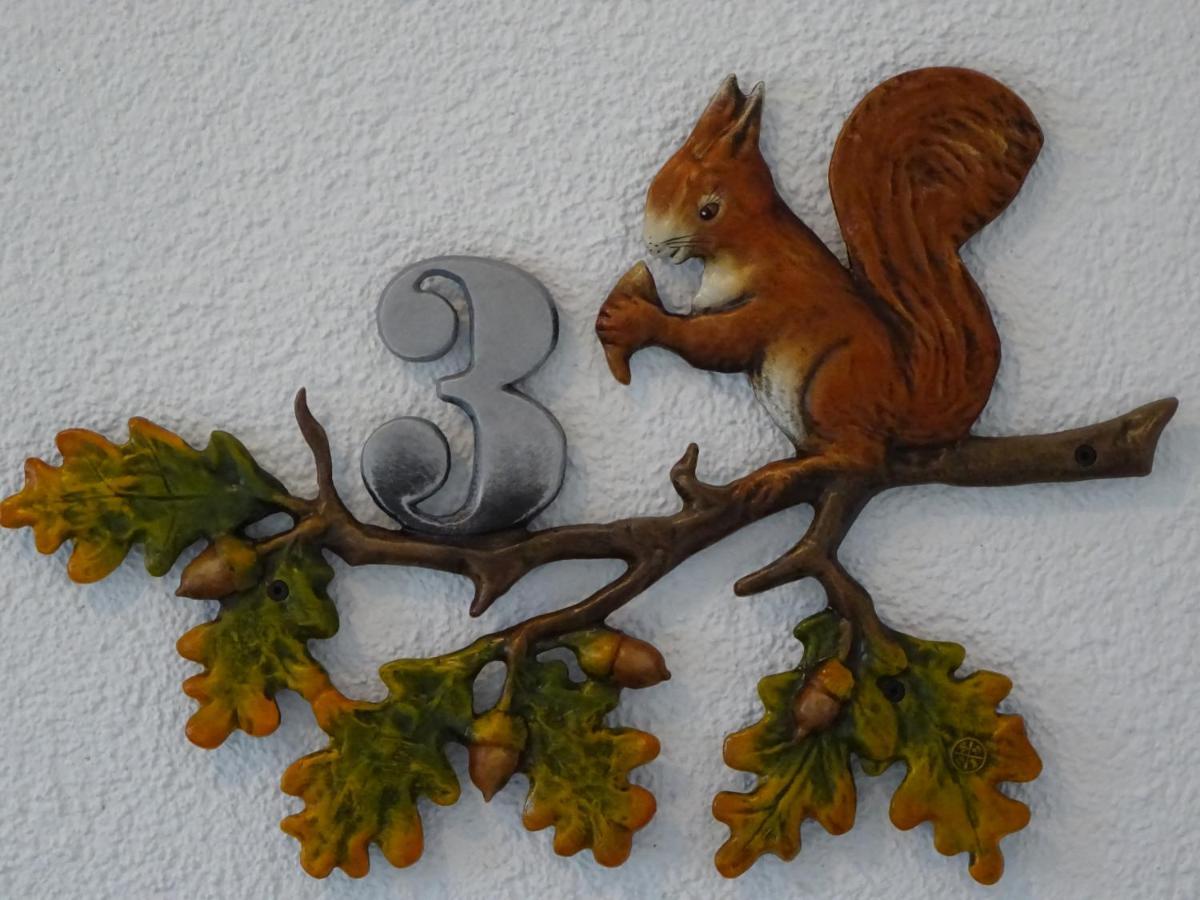 Waschbär Country *
