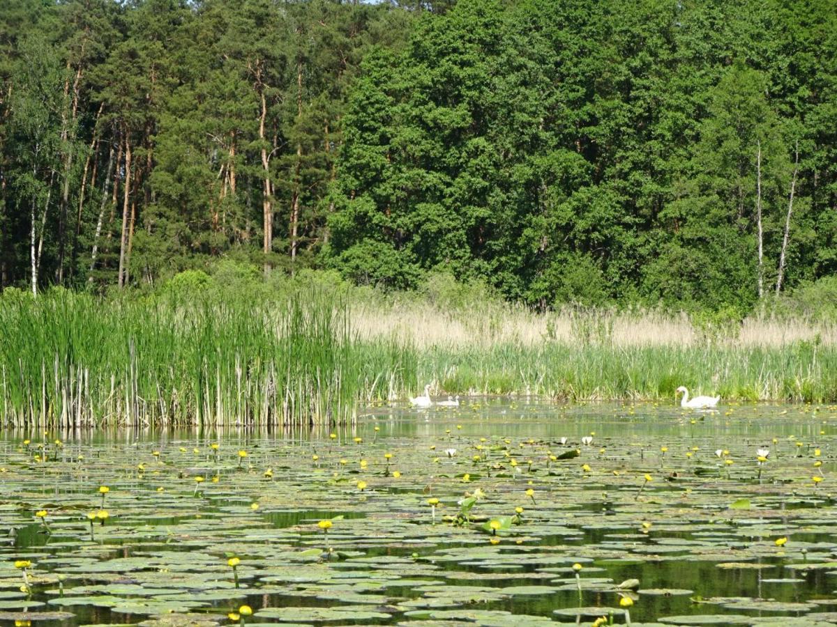 Waschbär Country Apartment *