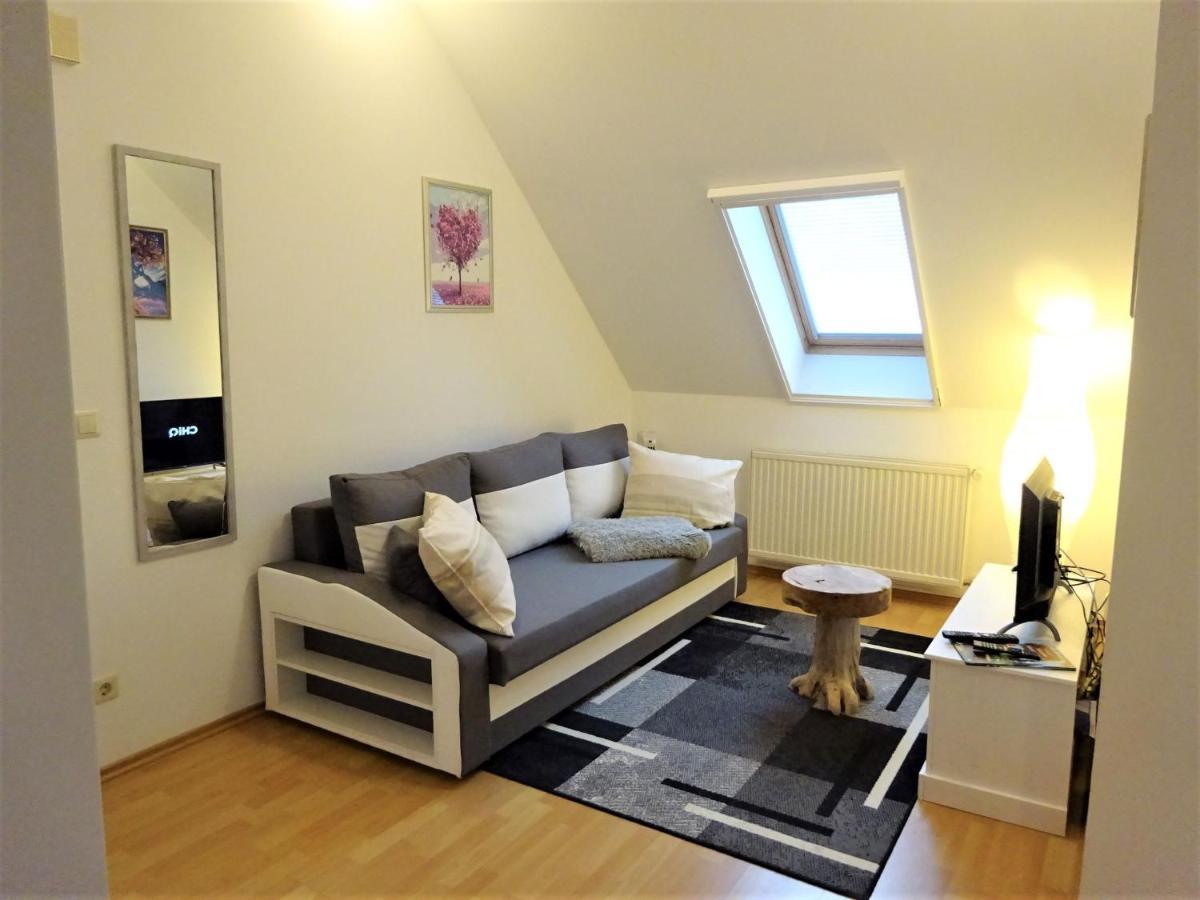 Waschbaer Country Apartment